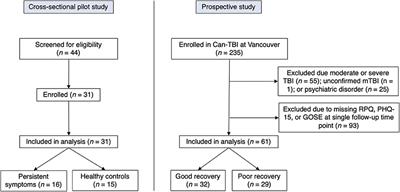 Atypical Somatic Symptoms in Adults With Prolonged Recovery From Mild Traumatic Brain Injury